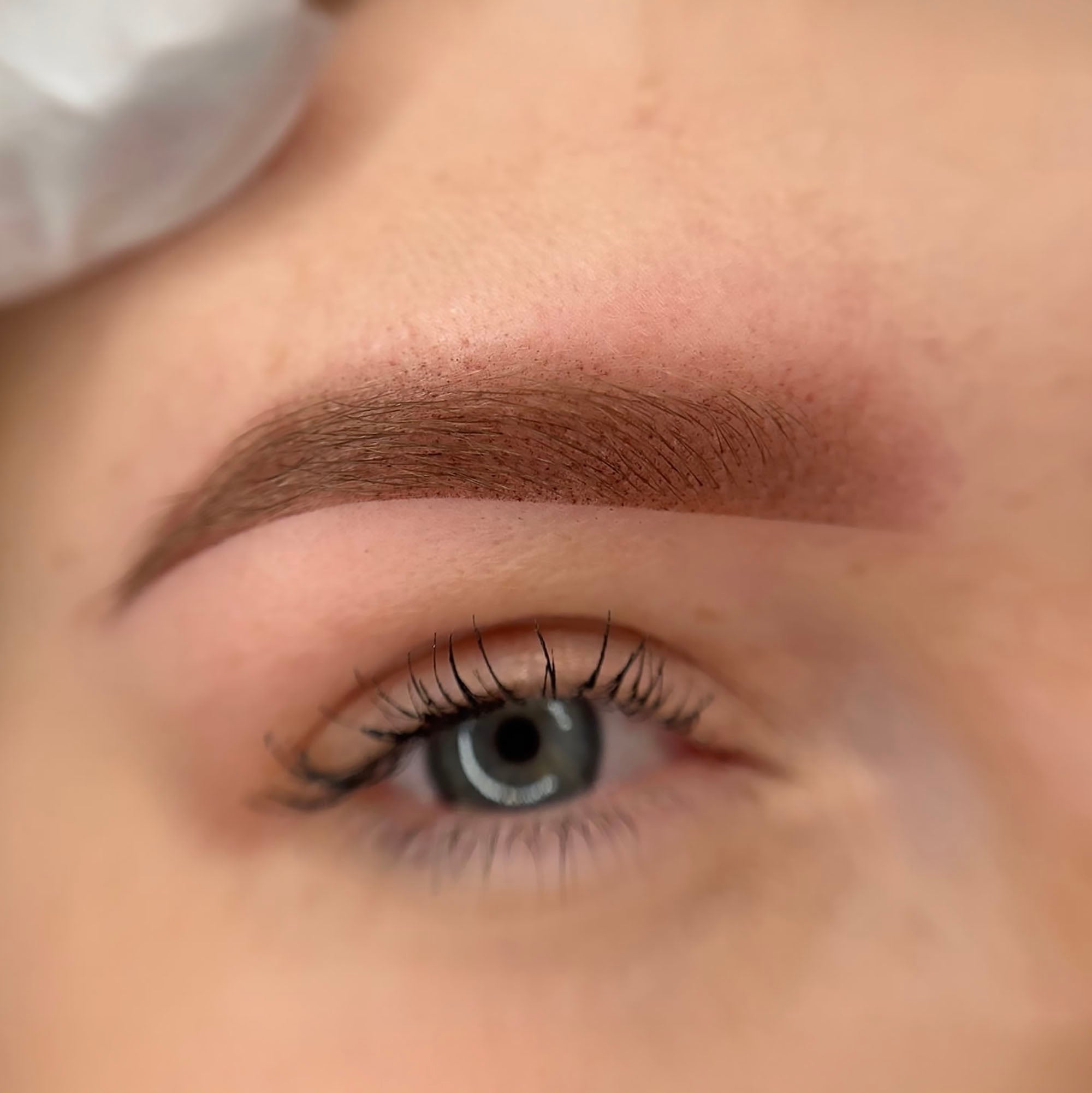 Fresh powder brows after permanent makeup showing soft shading, even pigment implantation and natural gradient